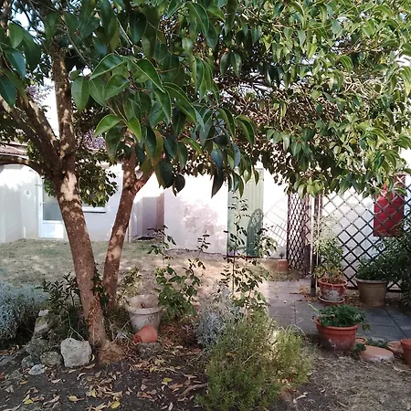Un Côté Bucolique Appartement *
